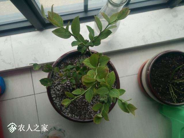 IMG20180930100214.jpg
