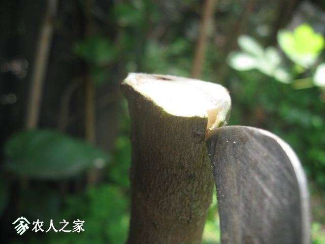 114049dg46bvz42dq66id4.jpg
