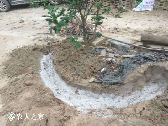 IMG_20181001_093107.jpg