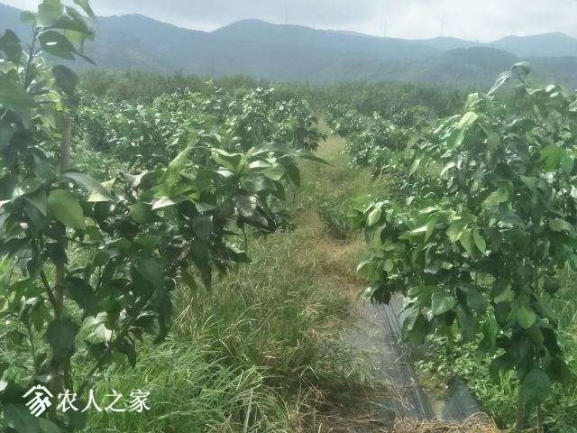 IMG20171001100538.jpg