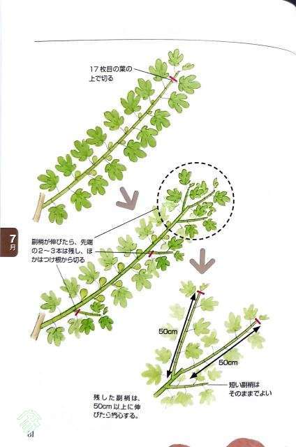 �ļ��޼�02.jpg