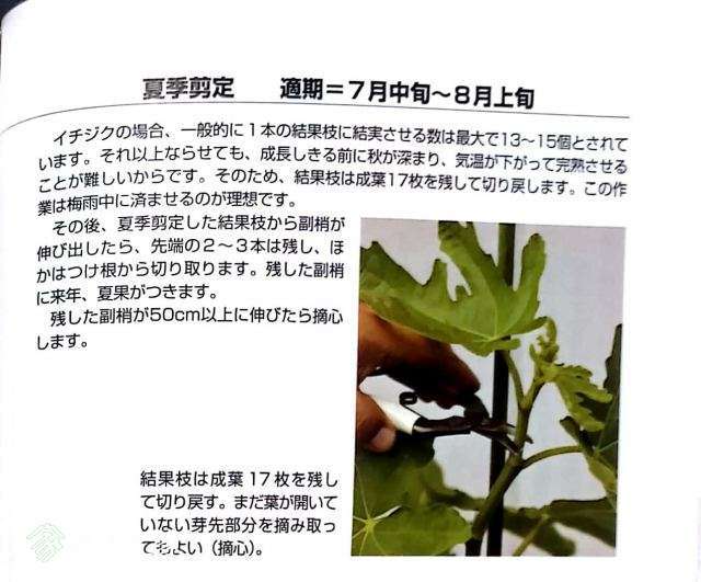�ļ��޼�.jpg