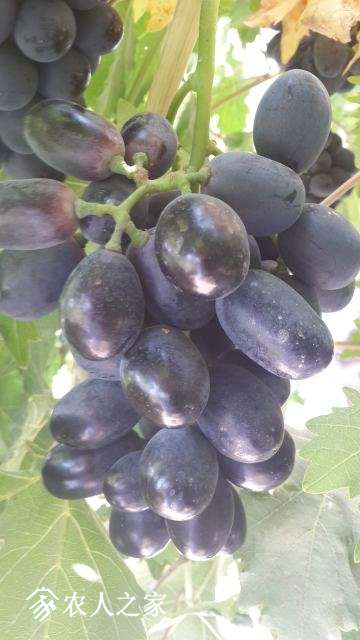 20140823_140756.jpg