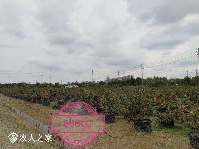 IMG_20181015_153521.jpg