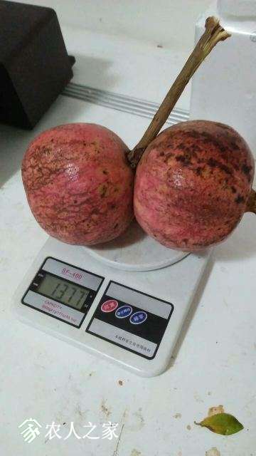 1539843962090.jpeg