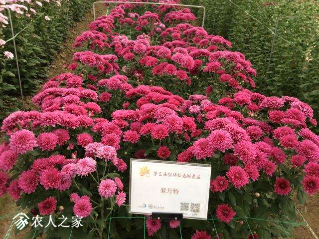 A8C83257-62EA-46CE-8FB8-03F070CAA30C.jpeg