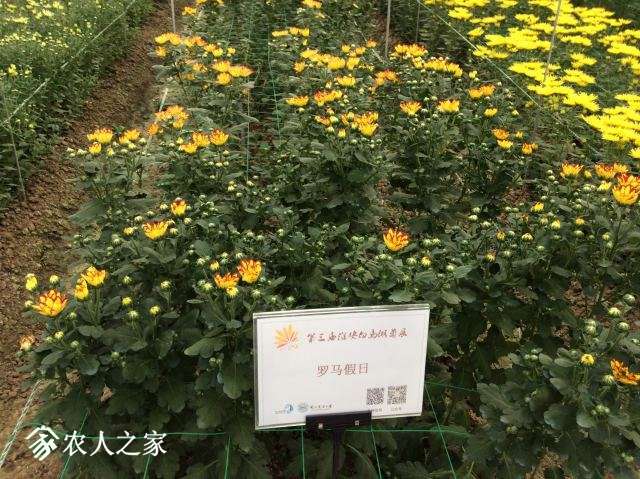 204268CC-A1A5-4C09-8ACB-6B3A2FE83D5D.jpeg
