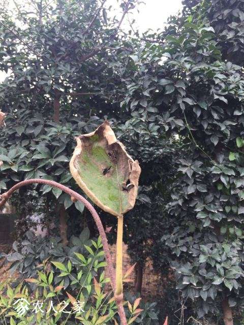 ΢ͼƬ_20181021220656.jpg