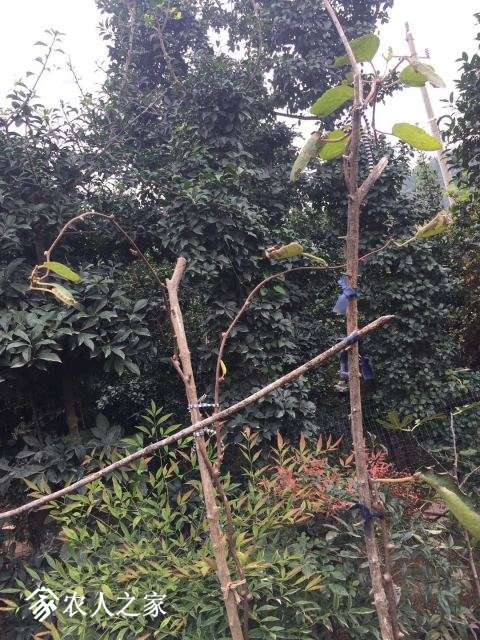 ΢ͼƬ_20181021220703.jpg