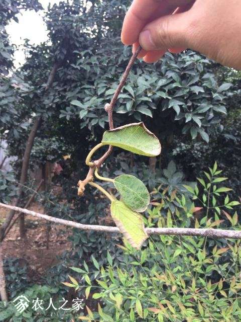 ΢ͼƬ_20181021220707.jpg