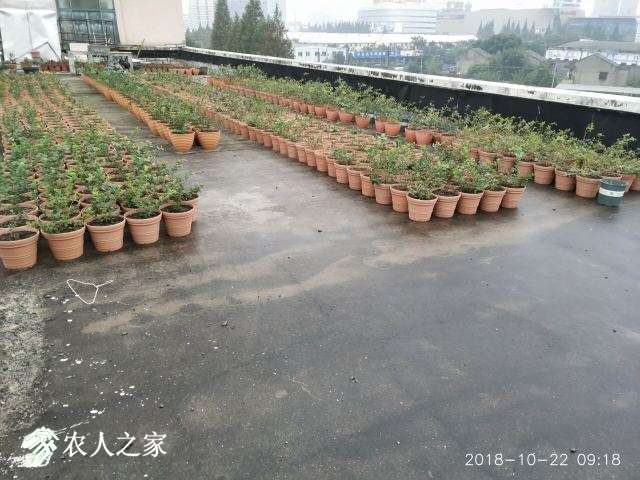 QQͼƬ20181022104325.jpg