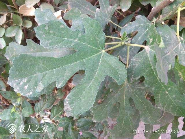QQͼƬ20181022112706.jpg