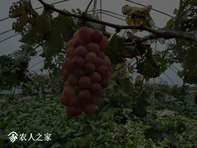 IMG20181022163501.jpg