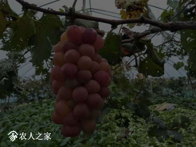 IMG20181022163509.jpg