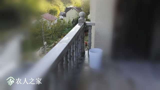 IMG_20181028_070453.jpg