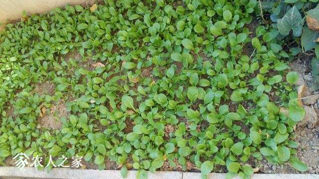 20171030_135634.jpg