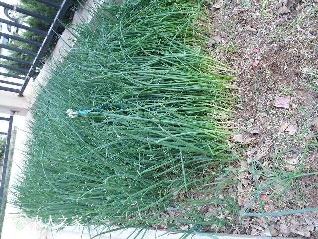 20150330_174720.jpg
