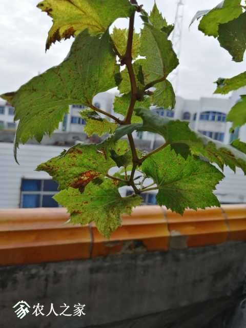 IMG_20181028_094857.jpg