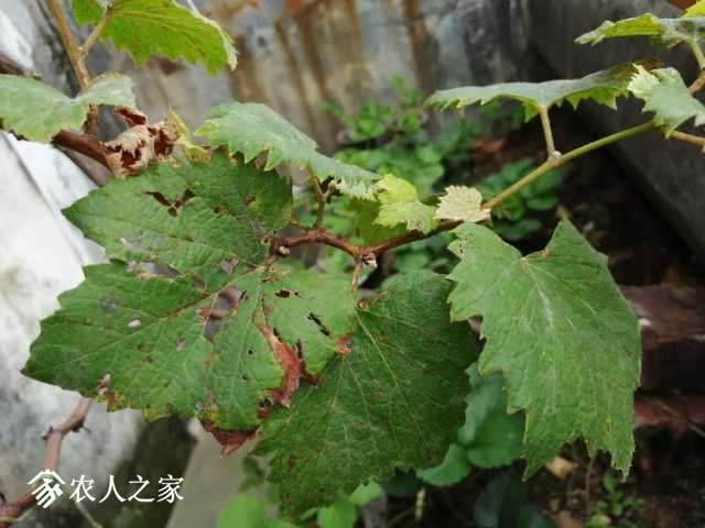 IMG_20181028_094913.jpg