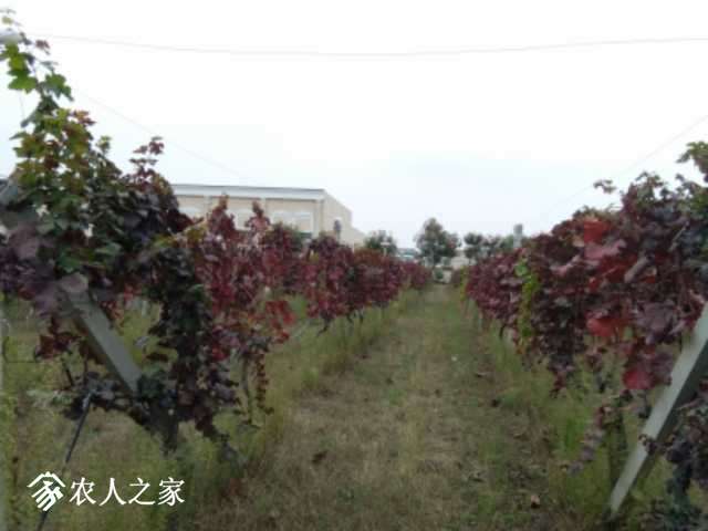 IMG_20181020_164048.jpg