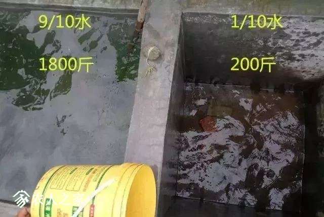 11.webp.jpg