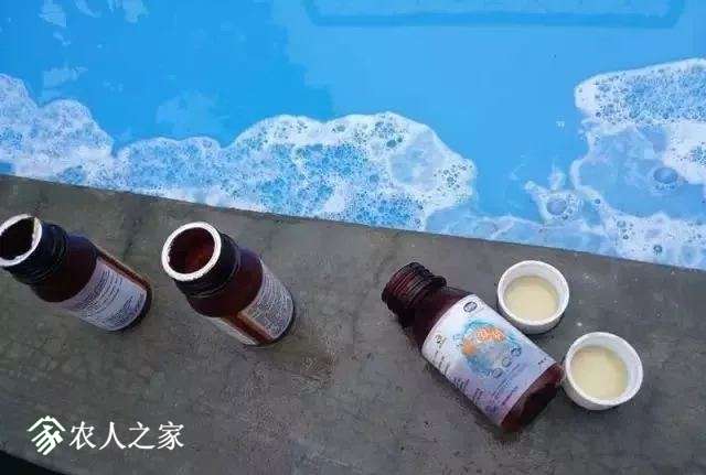 21.webp.jpg