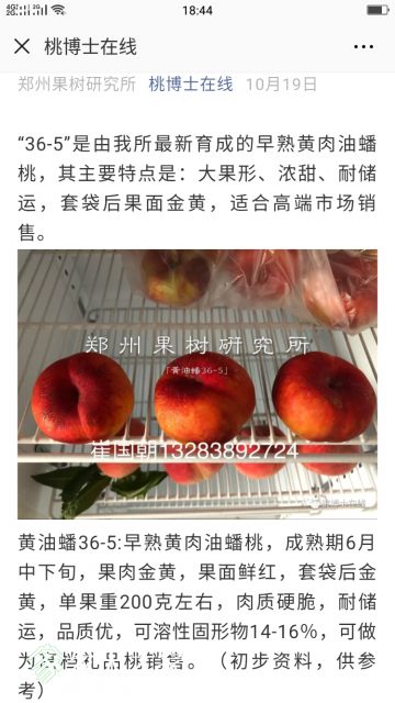 Screenshot_2018-11-04-18-44-20-99.png