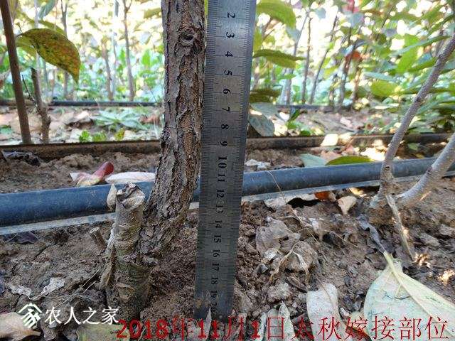 DSC04270.jpg