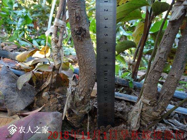 DSC04245.jpg