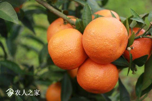 10��28�յĽ��