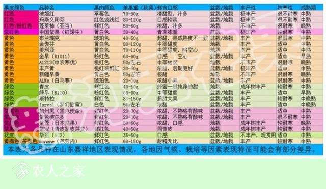 �º��޻���Ʒ��03.jpg