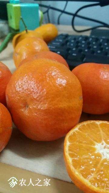 1542010595470620_990.jpg