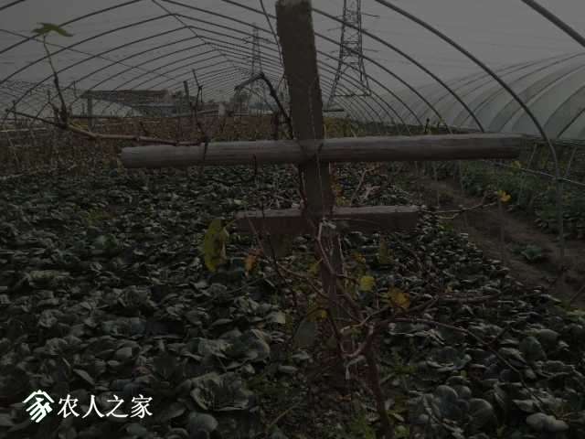 IMG20181114144101.jpg