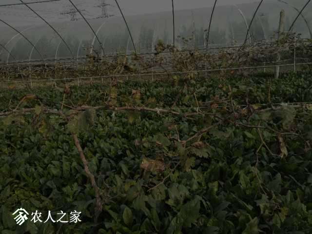 IMG20181114143905.jpg