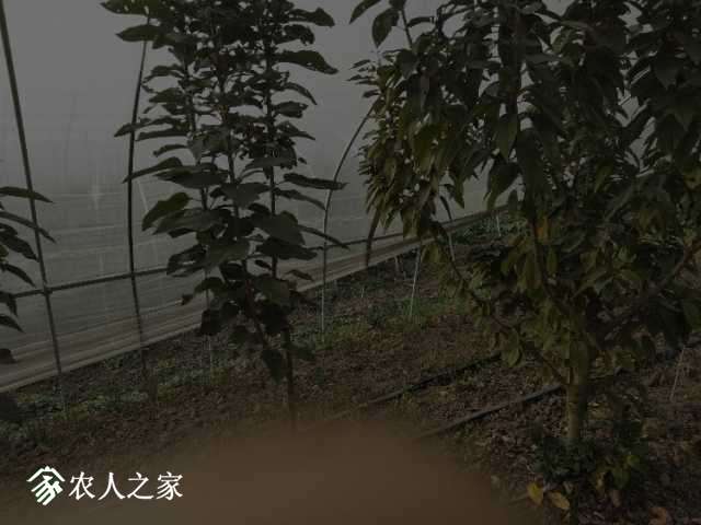 IMG20181114143618.jpg