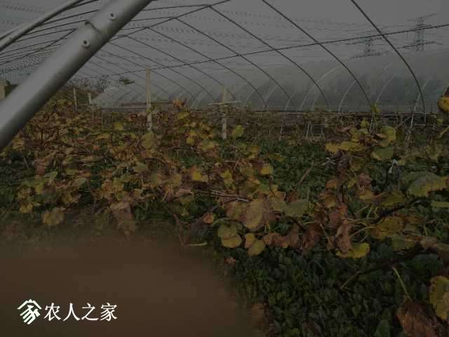 IMG20181114143851.jpg
