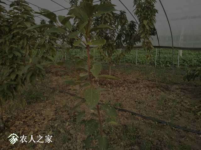IMG20181114143559.jpg