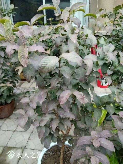 ΢��ͼƬ_20181115081658.jpg