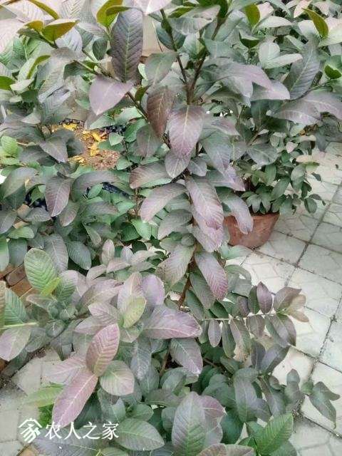 ΢��ͼƬ_20181115081707.jpg