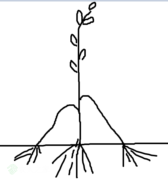 333.png