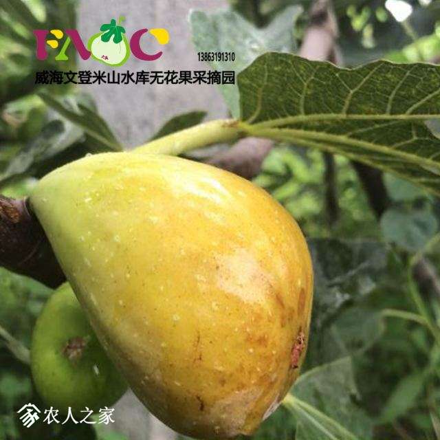 δ-1.jpg