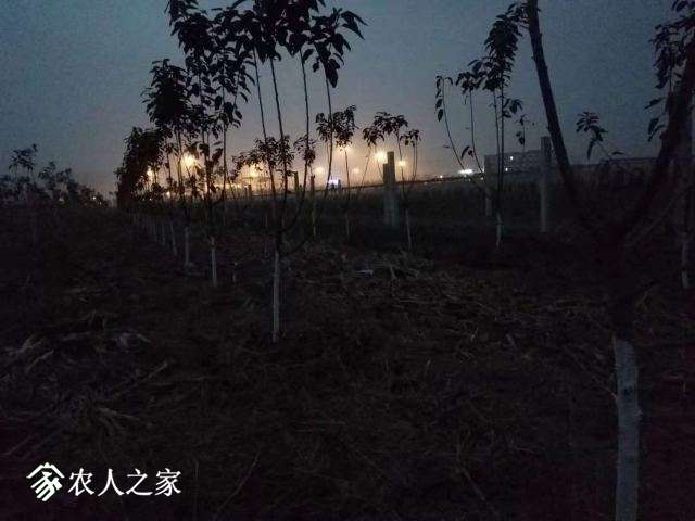 ΢ͼƬ_20181120125428.jpg