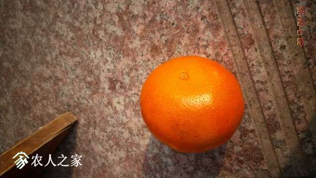 IMG_20170405_074356.jpg