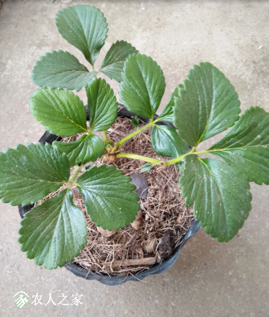 ��*O_20181127_133611.png