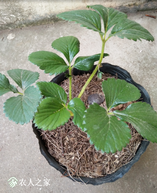 ��*O_20181127_133628.png
