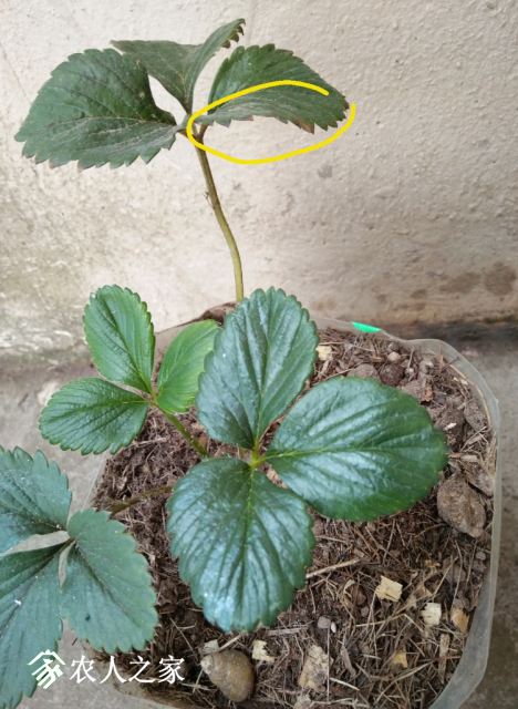 ��*O_20181127_133835.png