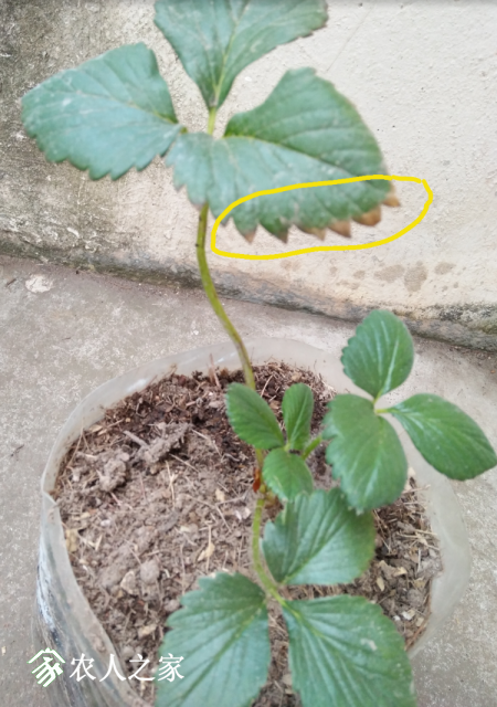 ��*O_20181127_133911.png