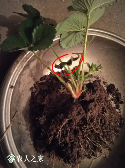 ��*O_20181127_194522.png