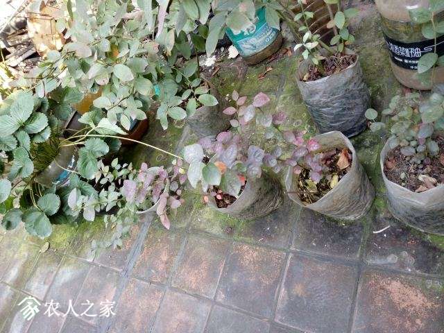 IMG_20181203_152814.jpg