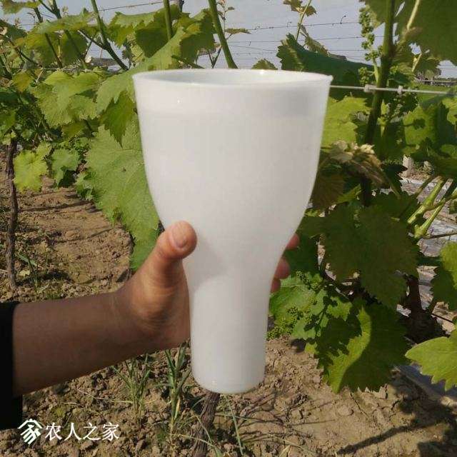 A5.jpg